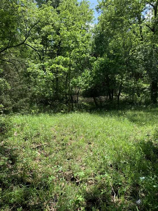 Recreational and   property for sale on The Land Market