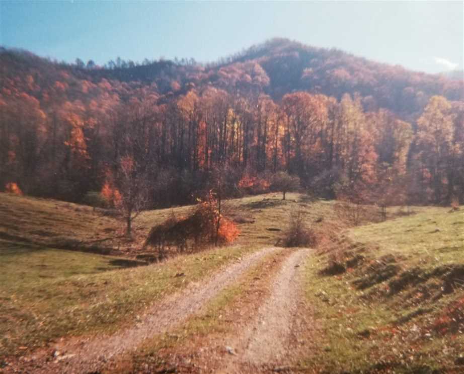 Residential and   property for sale on The Land Market