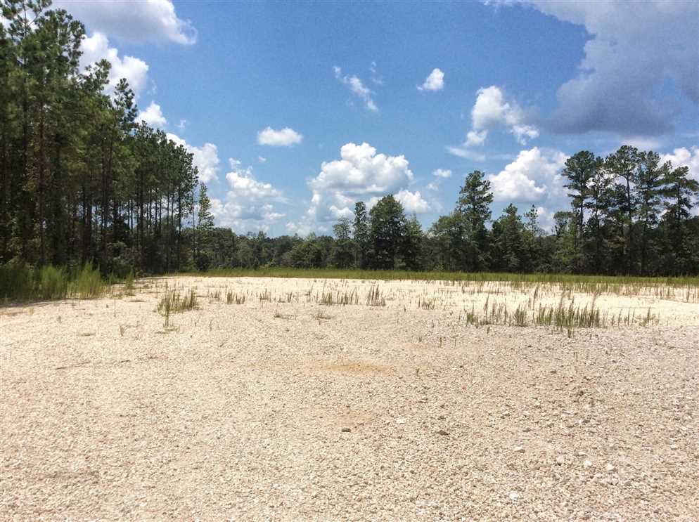 40 Acres of Recreational land for sale in Merryville, beauregard County, Louisiana