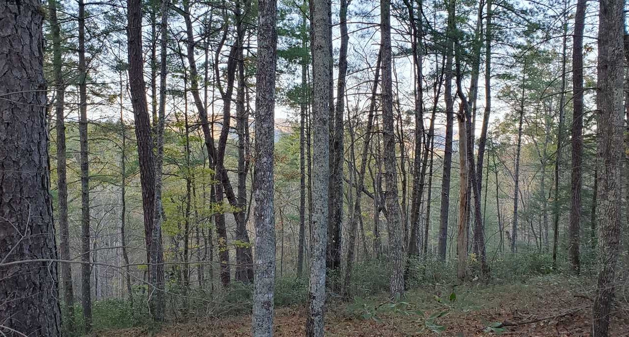 caldwell County, North Carolina property for sale