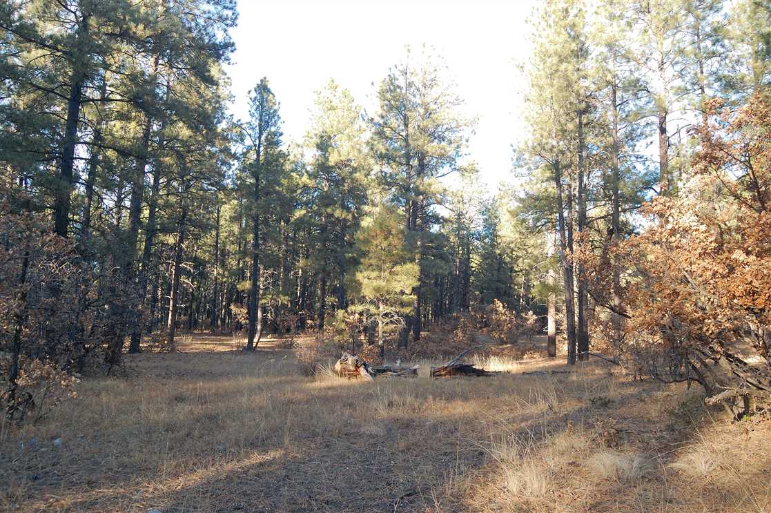 10 Acres of Land for sale in rio arriba County, New Mexico