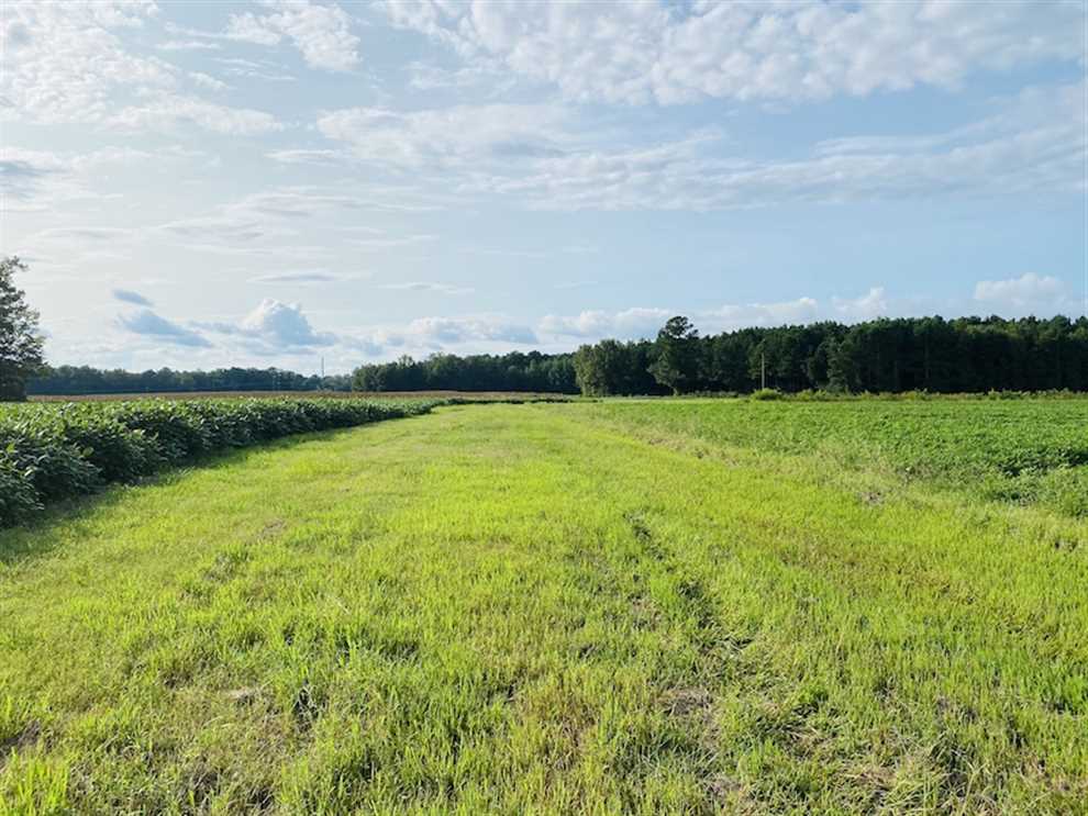nash County, North Carolina property for sale