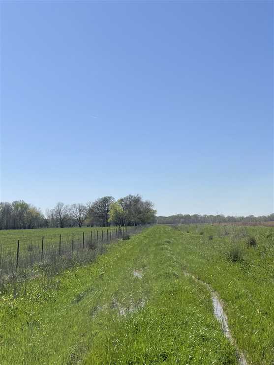 320 Acres of Land for sale in little river County, Arkansas