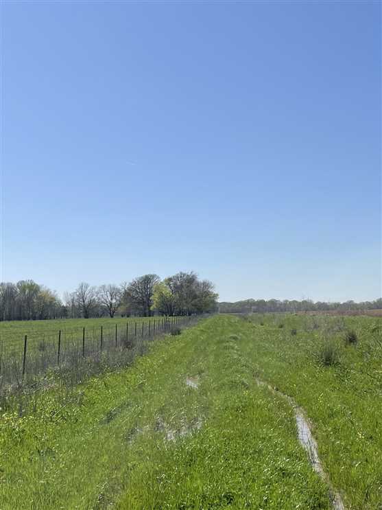 320 Acres of Land for Sale in little river County, Arkansas