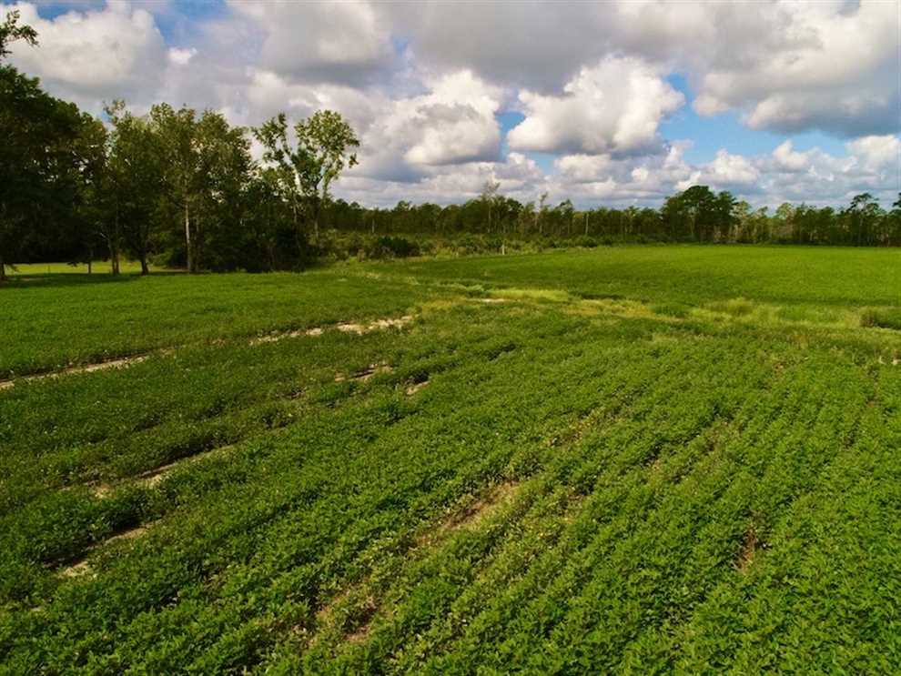 Land for sale to buy in 28556 zip code