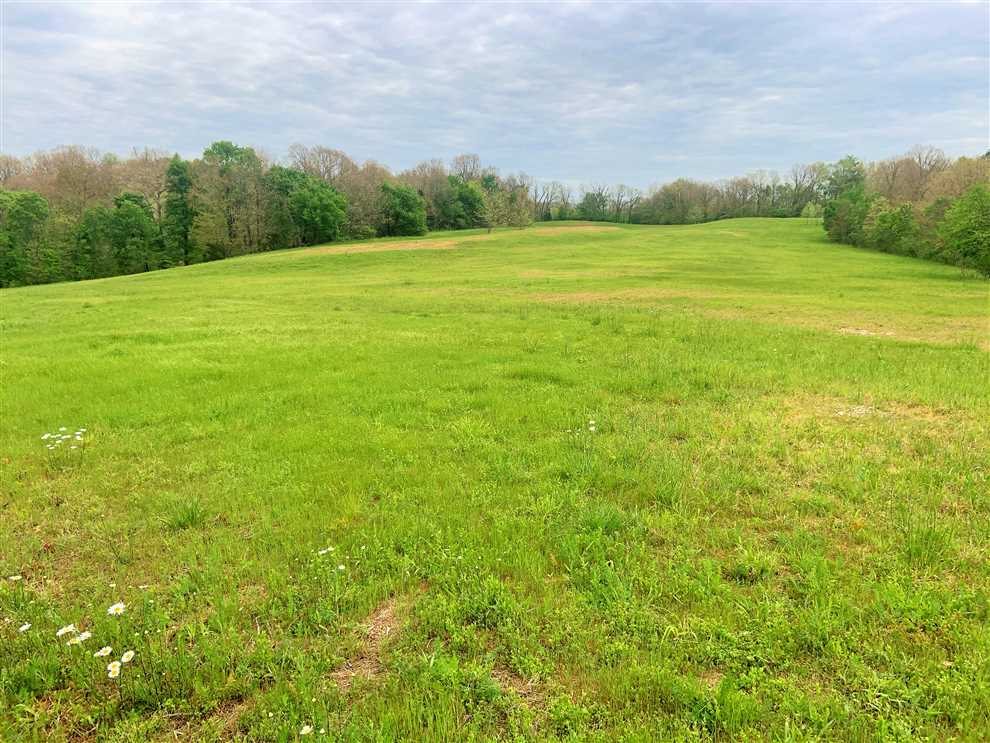 Houses and land for sale in Missouri