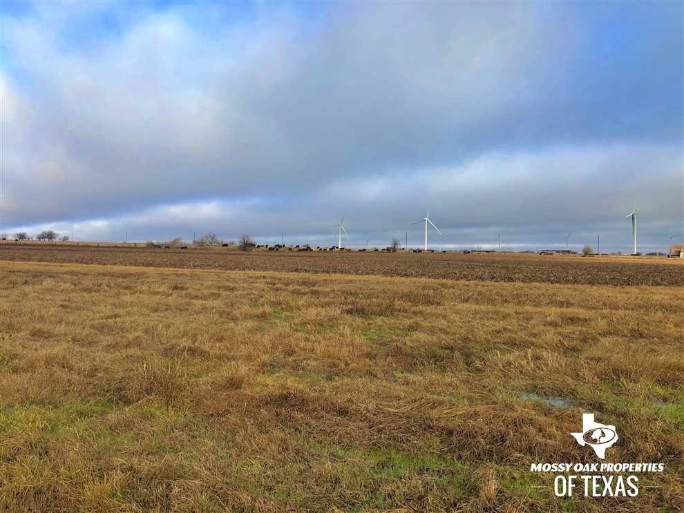 10.01 Acres of Residential land for sale in Era, cooke County, Texas