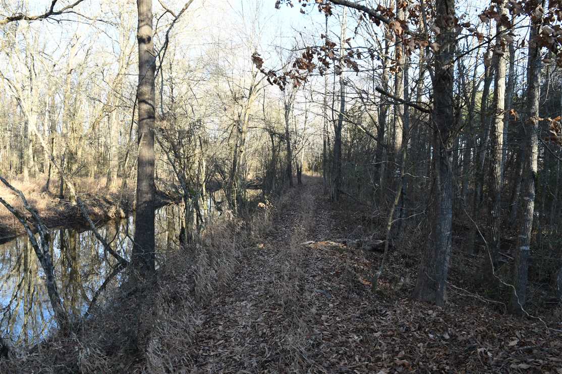 365 Acres of Land for sale in lonoke County, Arkansas