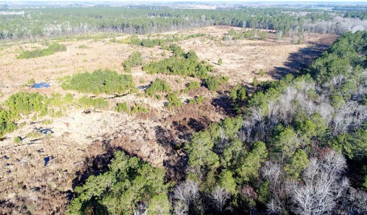 pitt County, North Carolina property for sale