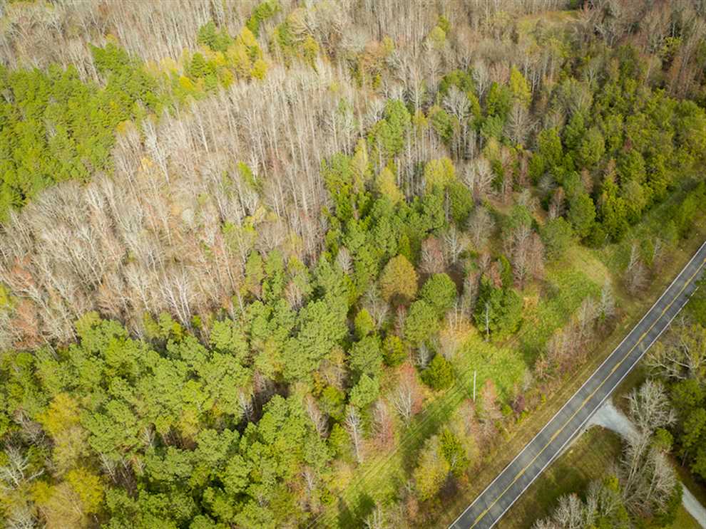 Land for sale at Off Rougemont Road