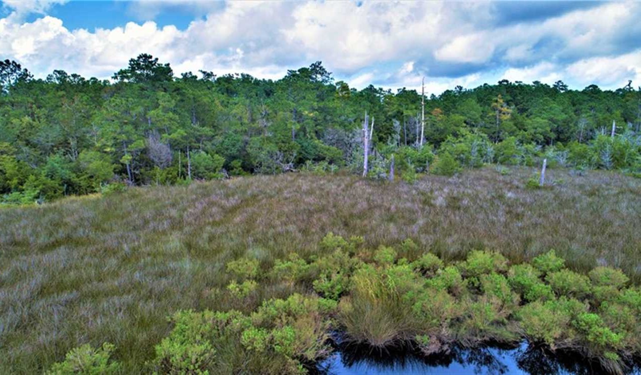 Land for sale to buy in 28562 zip code