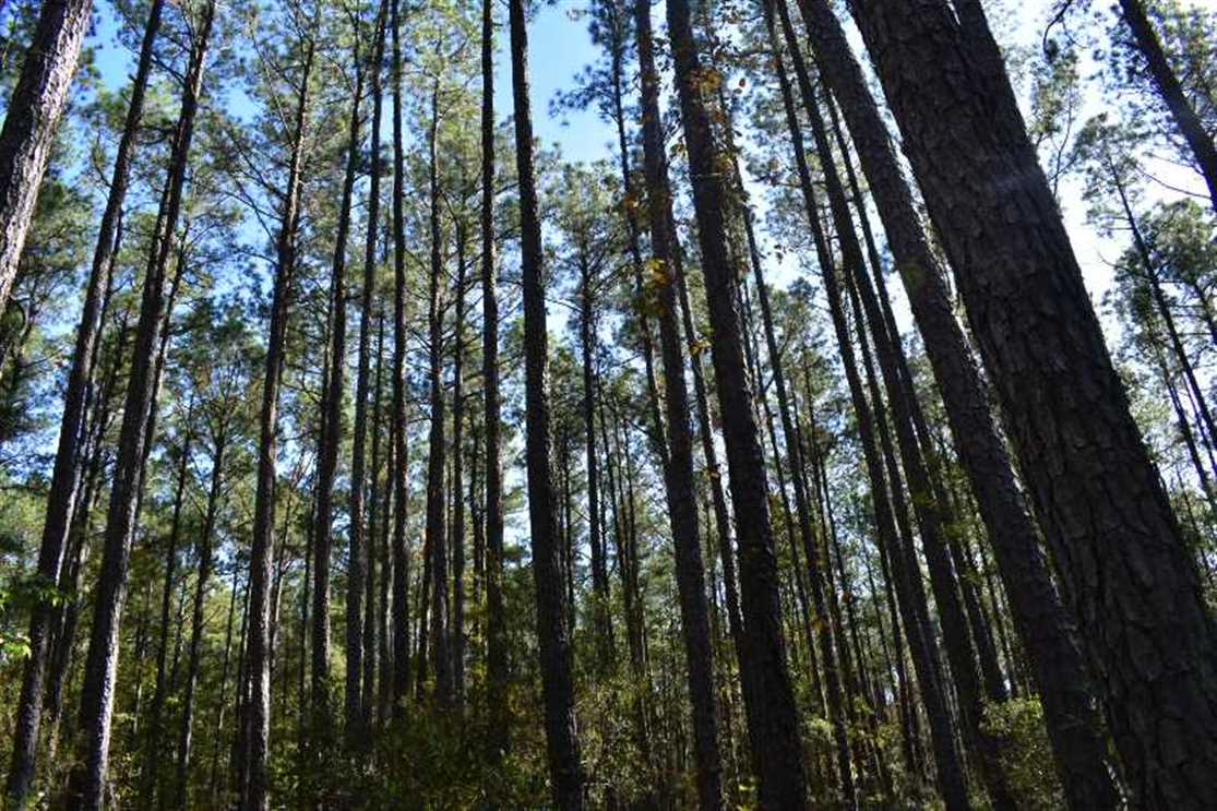 70 Acres of Residential land for sale in Nathalie, halifax County, Virginia