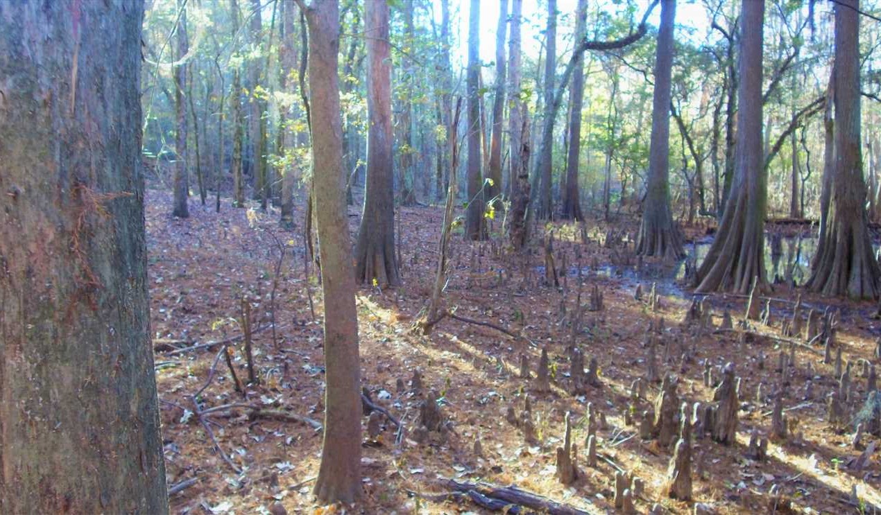 283 Acres of Land for sale in bossier County, Louisiana