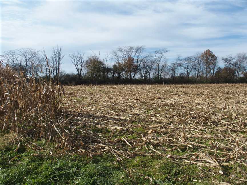 Farmland and   property for sale on The Land Market