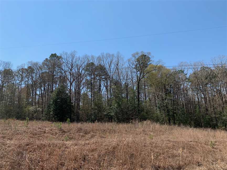Land for sale to buy in 71260 zip code