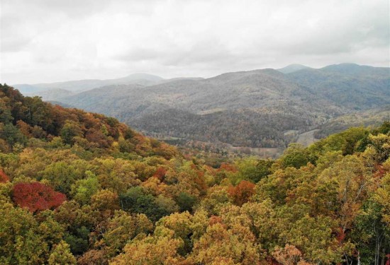 20.32 Acres of Land for Sale in buncombe County North Carolina