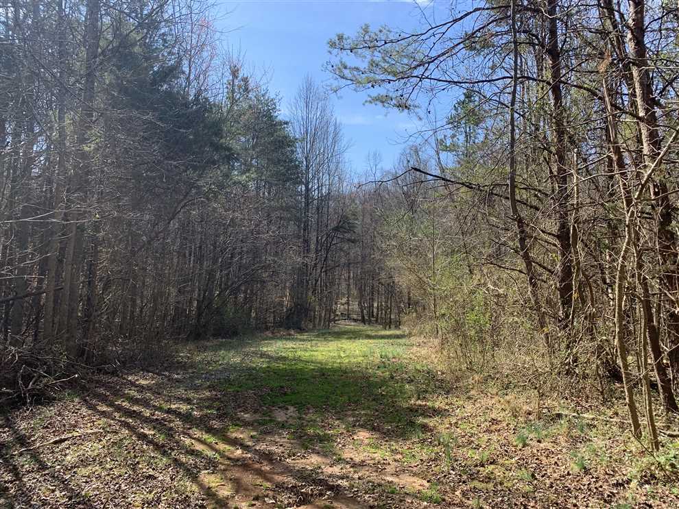 13.87+/- Acres in Mocksville, Davie County Real estate listing