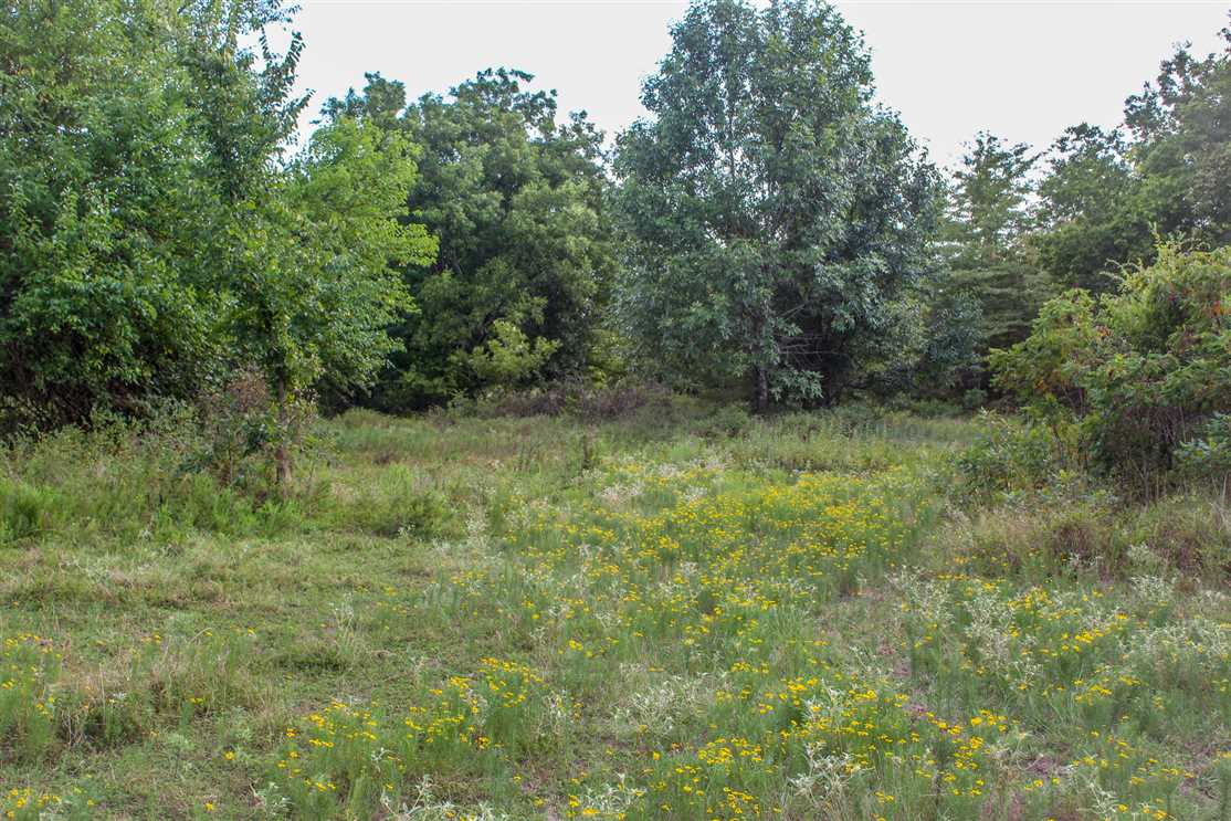 Land for sale at