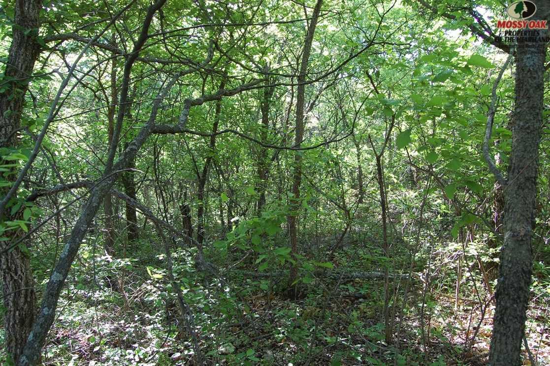 Land for sale to buy in 66757 zip code