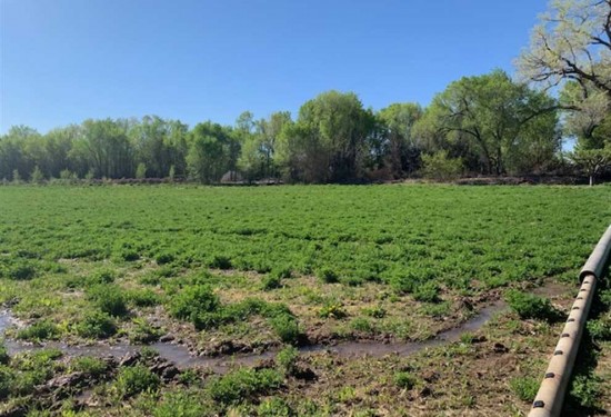 8.87 Acres of Land for Sale in rio arriba County New Mexico