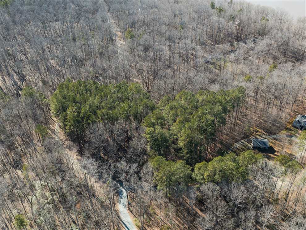 24.68 Acres of Residential land for sale in Roxboro, person County, North Carolina