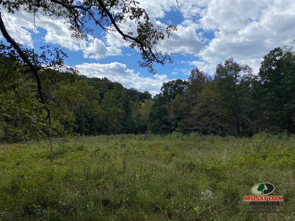 63 acres of rolling hill of Kentucky Real estate listing