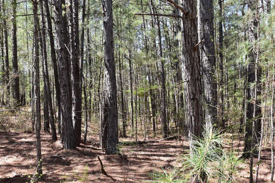 property for sale on The Land Market