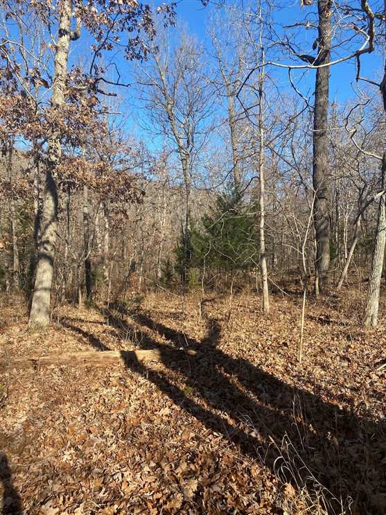 property for sale on The Land Market