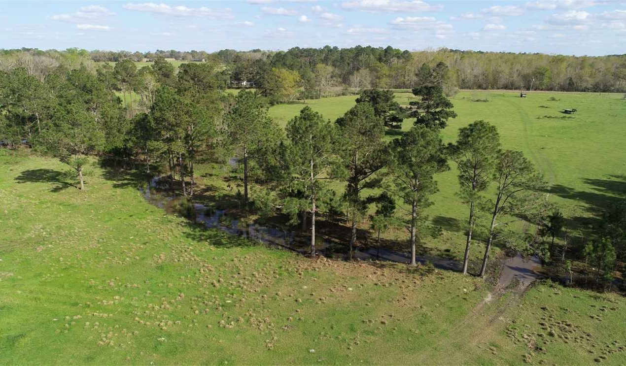 100 Acres of Recreational land for sale in Rhine, dodge County, Georgia