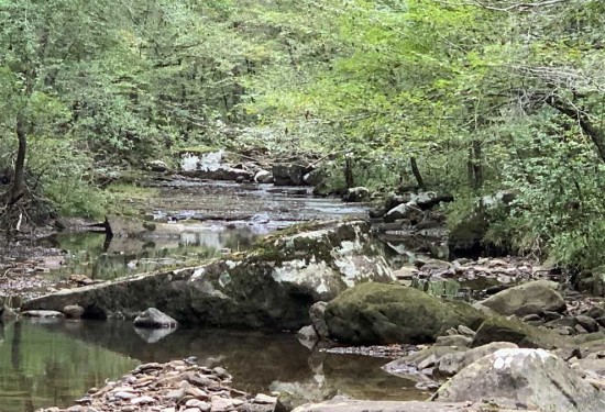 2143 Acres of Land for Sale in cleburne County Arkansas
