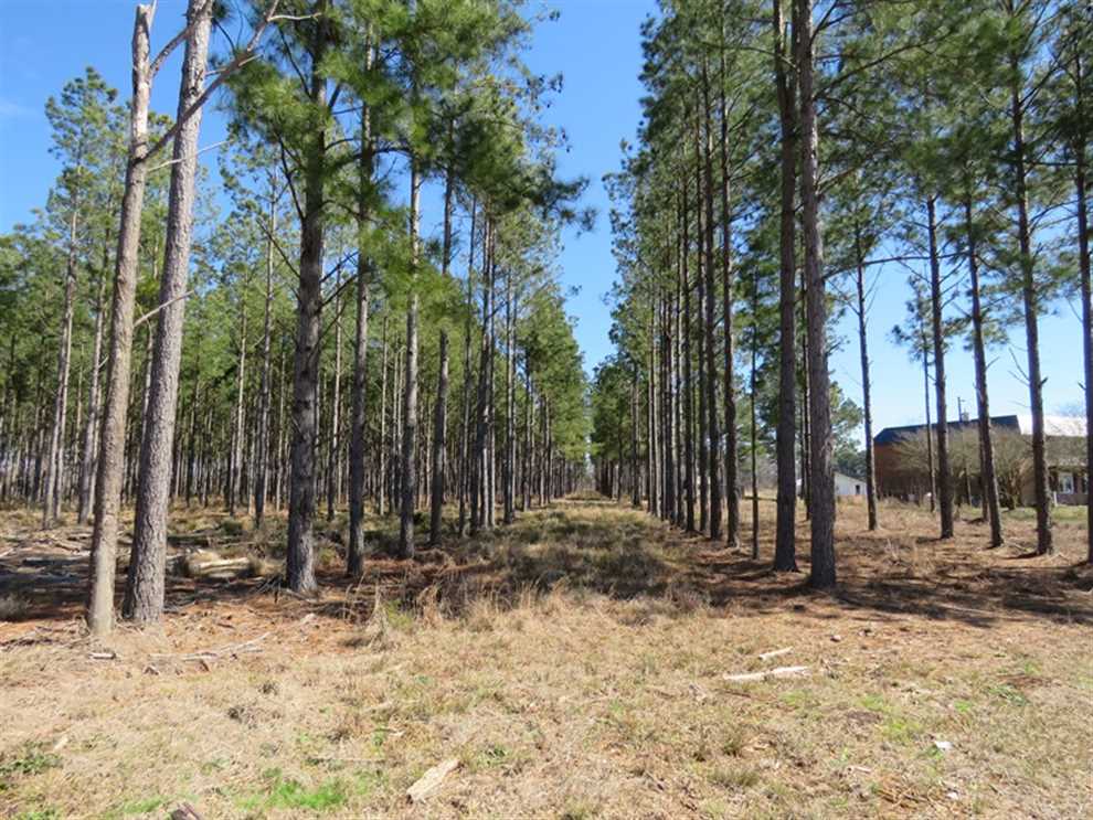 robeson County, North Carolina property for sale