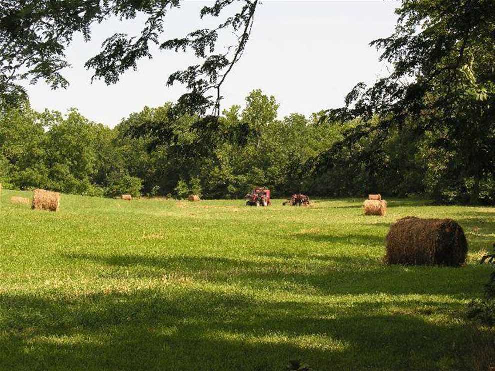 marion County, Arkansas property for sale