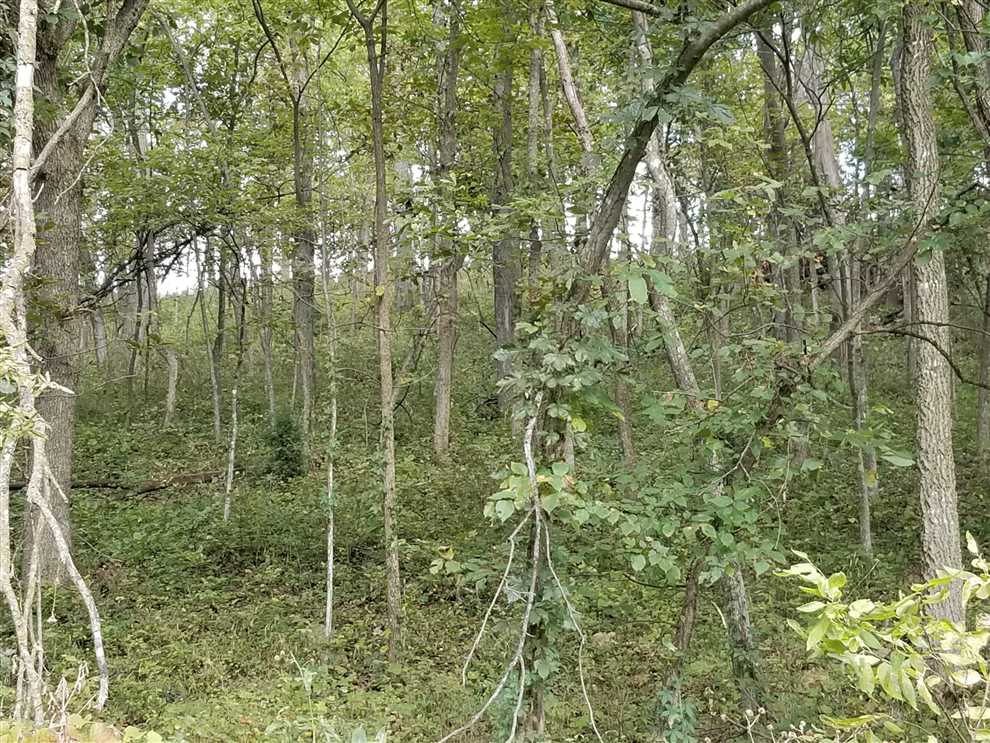 Residential and   property for sale on The Land Market