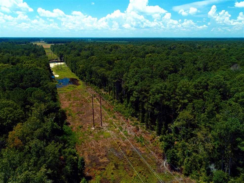 16.53 Acres of Land for sale in duplin County, North Carolina