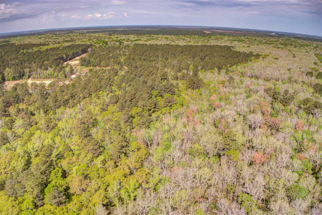 Land for sale at Off Johnsontown Road