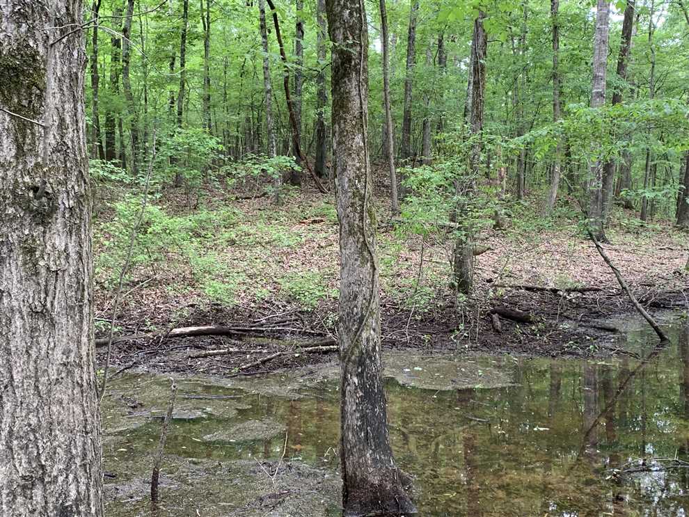 Land for sale to buy in  zip code