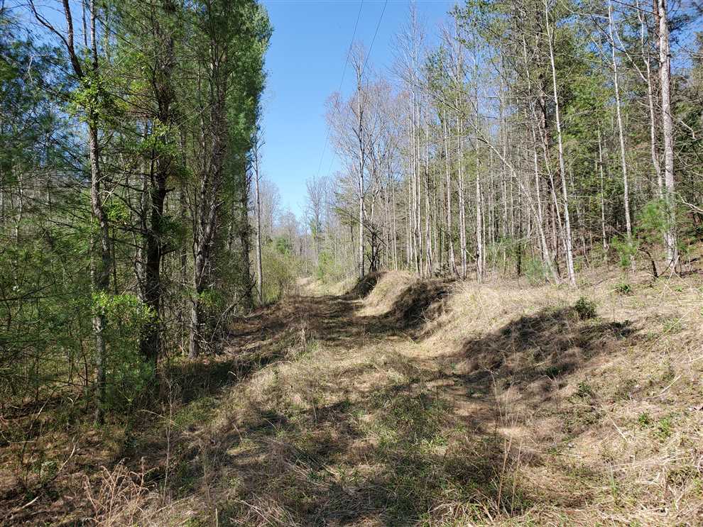 Land for sale to buy in 28645 zip code