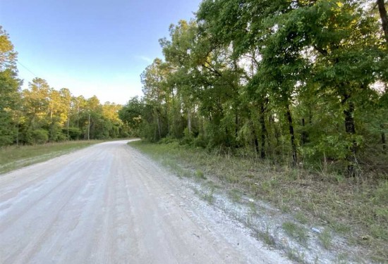 4.54 Acres of Land for Sale in dixie County Florida