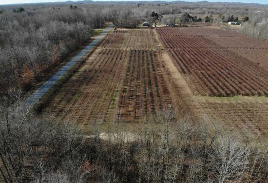 9.2 Acres of Land for Sale in van buren County Michigan