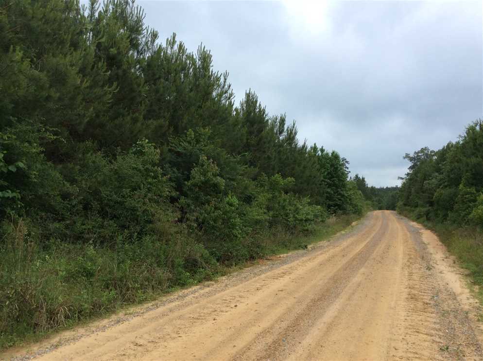 winn County, Louisiana property for sale