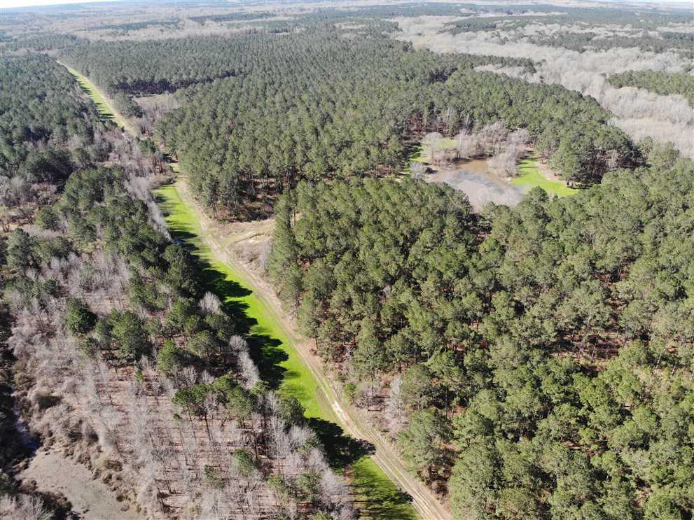 2,253 +/- Acres: Jefferson County, Mississippi Recreational Timberland For Sale Real estate listing