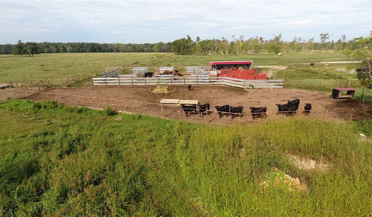 390 Acres of Land for sale in delaware County, Oklahoma