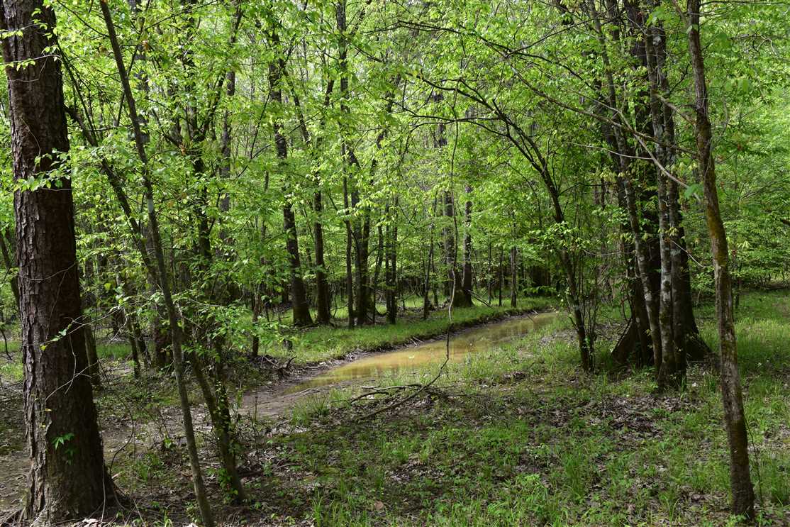 678 Acres of Recreational land for sale in Prescott, nevada County, Arkansas