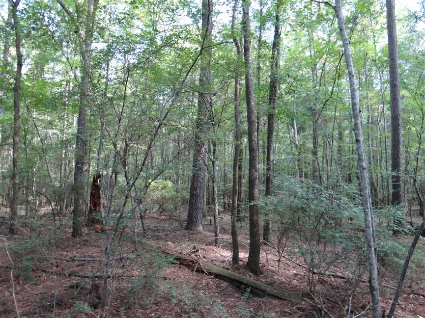 Land for sale to buy in 71045 zip code