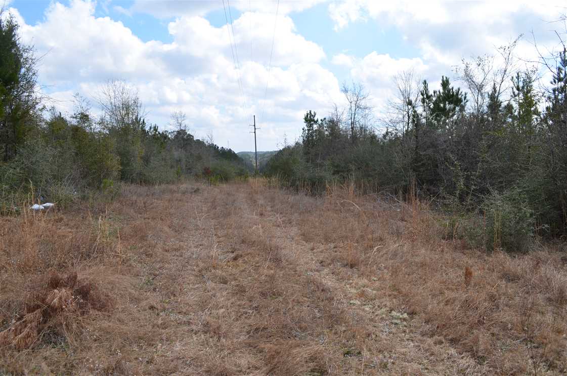 353 acres Near Flomaton in Escambia County, Alabama Real estate listing