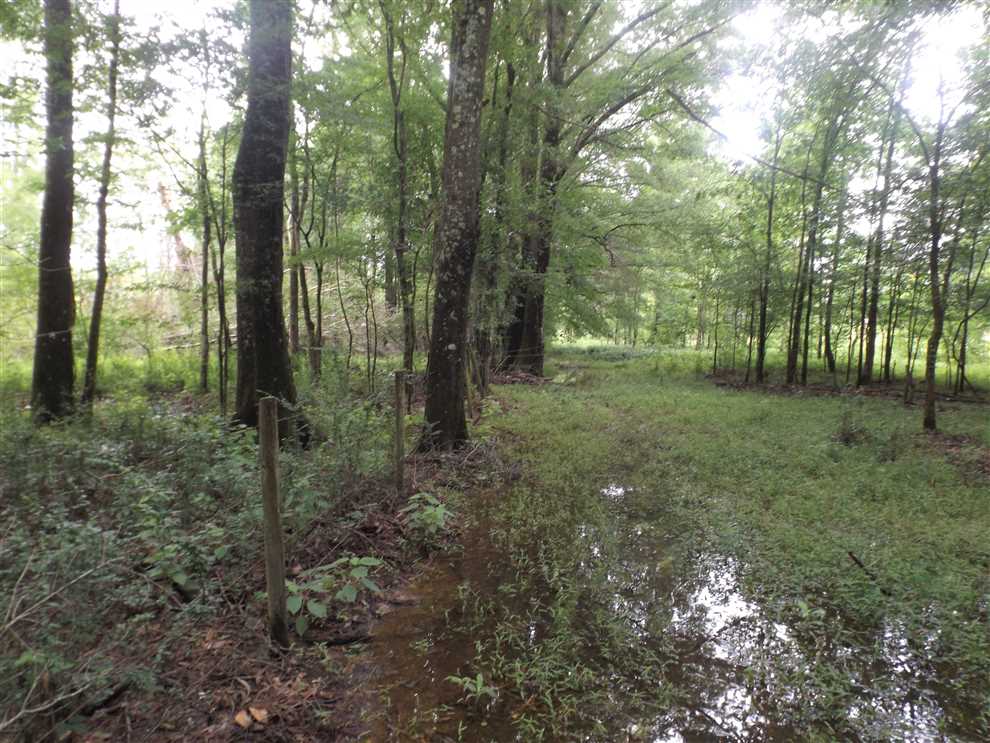Property for sale at