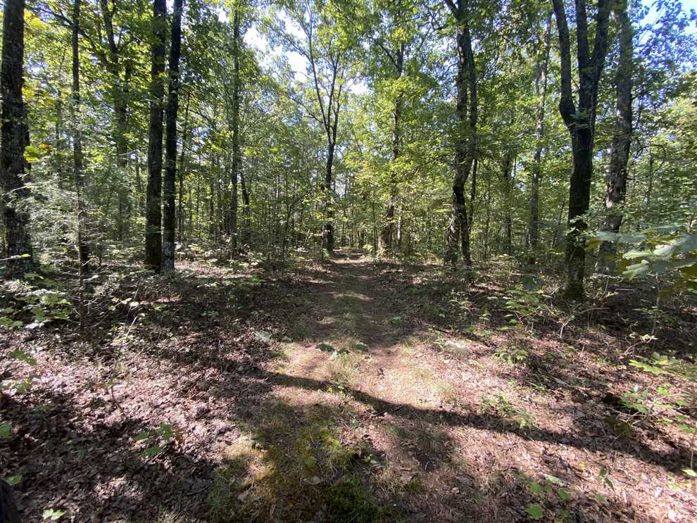 Land for sale at Brock Rd