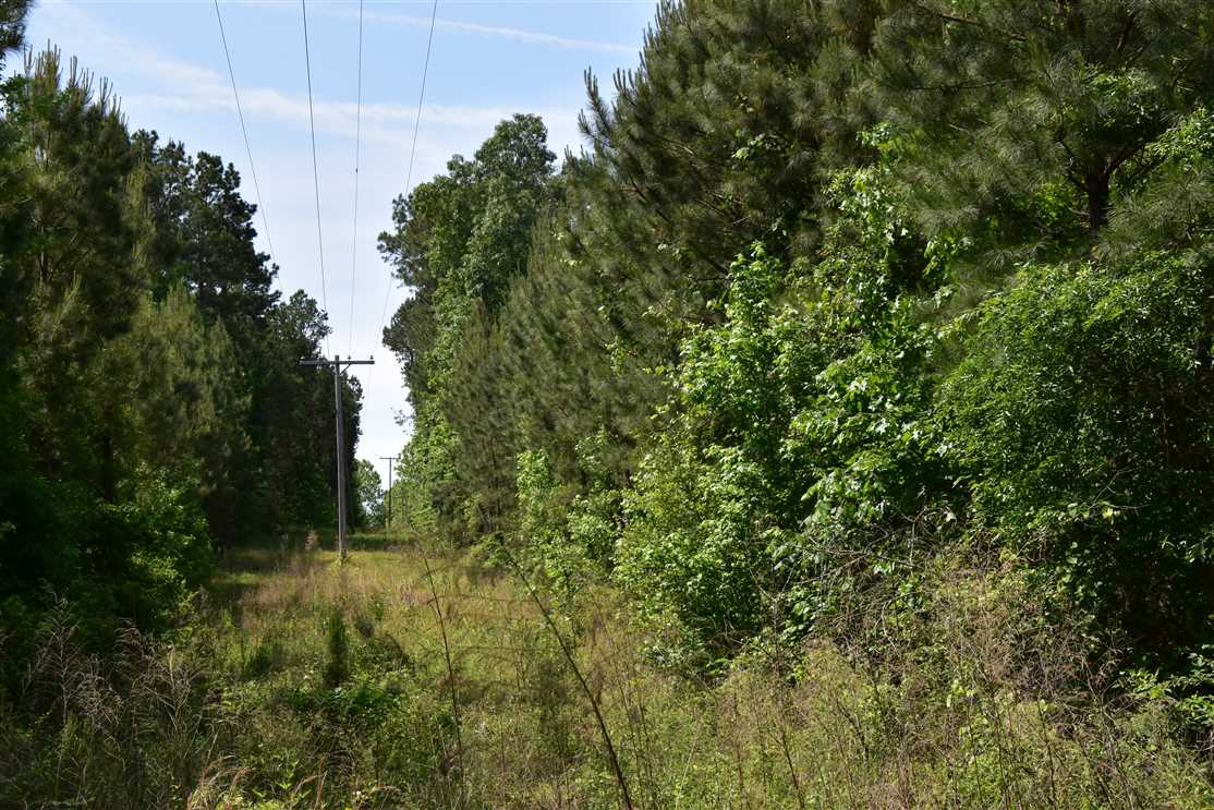 property for sale on The Land Market