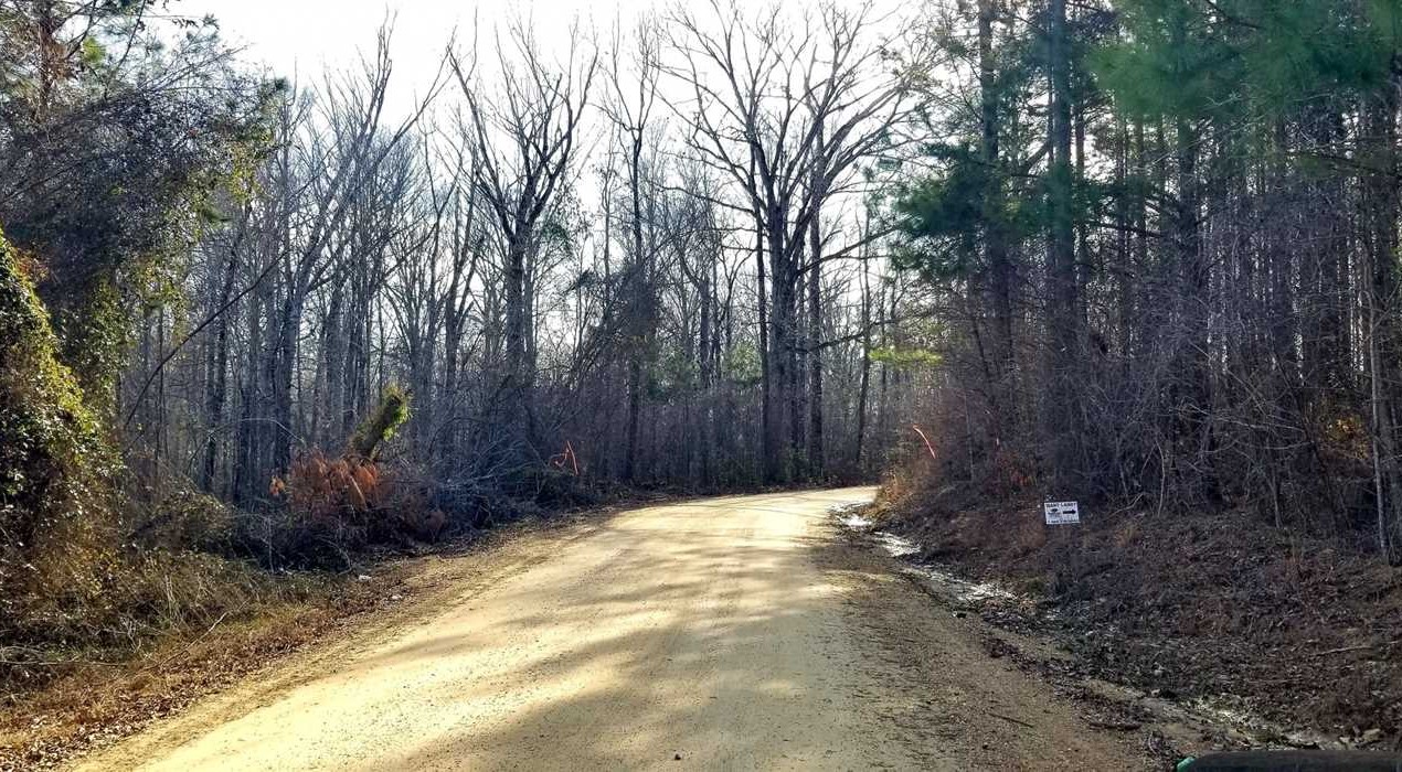 13.3 Acres of Land for Sale in grant County Louisiana