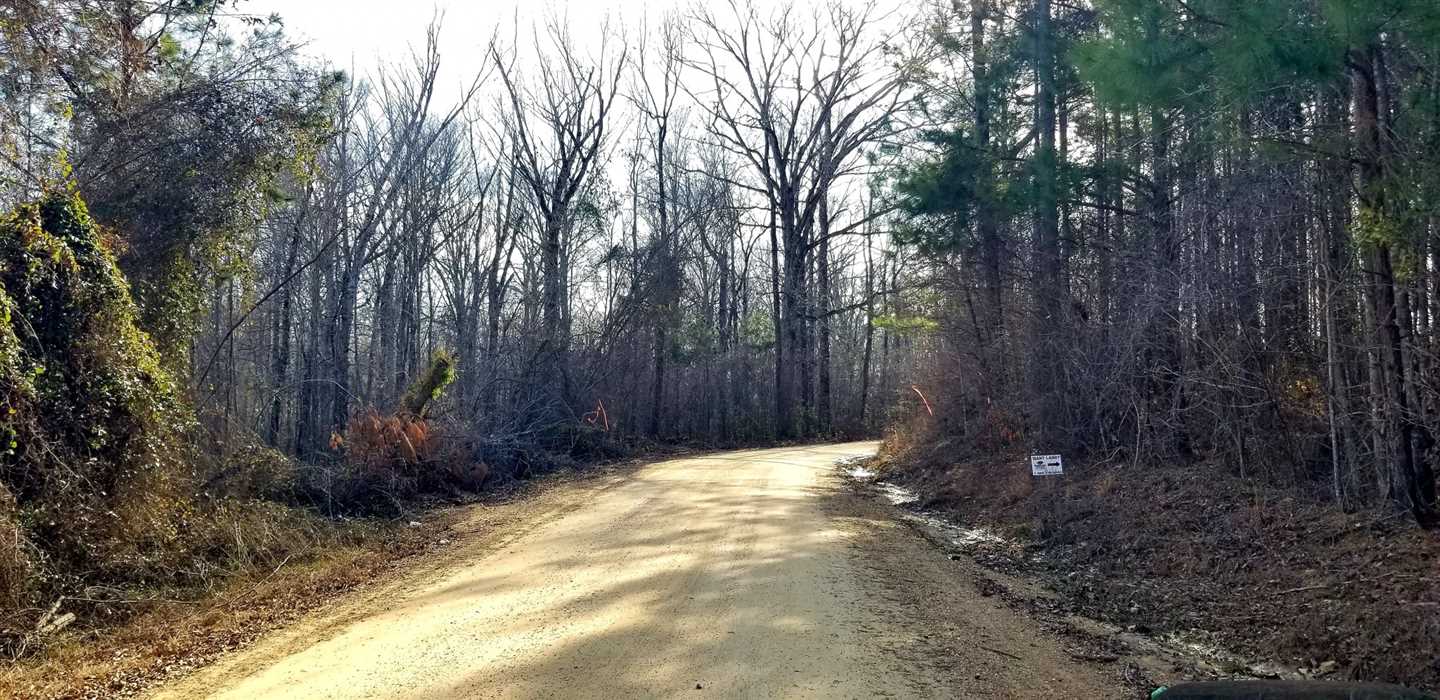 13.3 Acres of Land for Sale in grant County, Louisiana